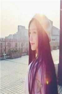 曾许我万丈骄阳章节