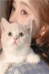 甩掉的京圈太子爷，他又缠上来了好书