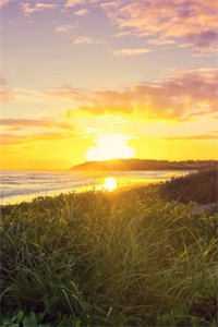 一枕空梦付前尘小说大结局