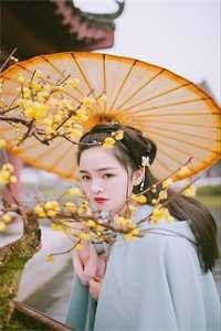 爱妃不擅争斗，朕只好专宠畅读