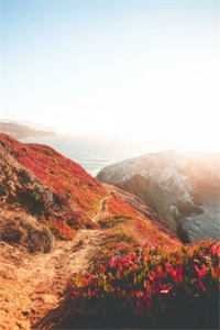 未婚夫在订婚宴玩脱衣纸牌，我让他在公海跳海傅行霈徐婉晴无删减+无广告