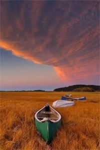 男友将我做成喷泉水池哄白月光开心，我离开后他悔疯了结局+后续