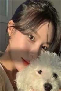 爱妃不擅争斗，朕只好专宠全文无删减