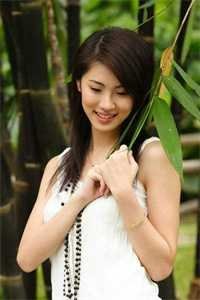 弃犬罪全章节阅读