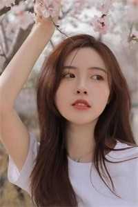 载你归程偿我悲欢必读文