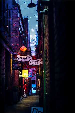 八年逃避，相爱的人难逃情劫盛以清南嘉意希番外