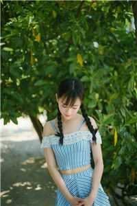 雾屿间跌落的玫瑰知乎