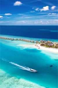 故山犹负平生约篇章