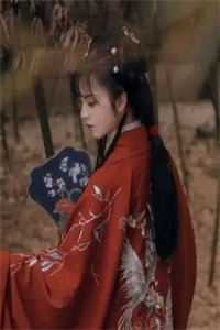 曾许我万丈骄阳全球完整文集