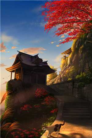 为报恩以身相许，糙军官你克制些火爆小说